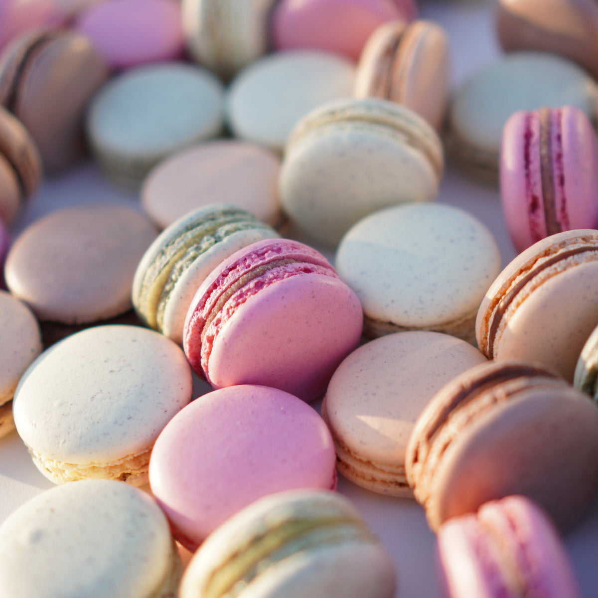 Macarons
